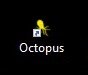 octopus icon