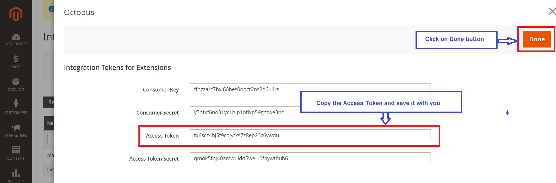 Access Token