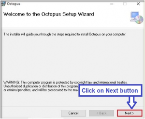 octopus wizard